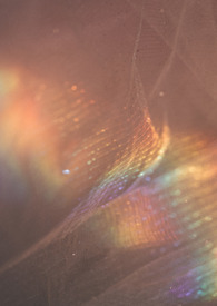女儿仙(女尊nph)女儿仙(女尊nph)